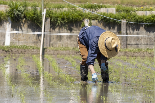 高崎市在住の70代男性の背部痛