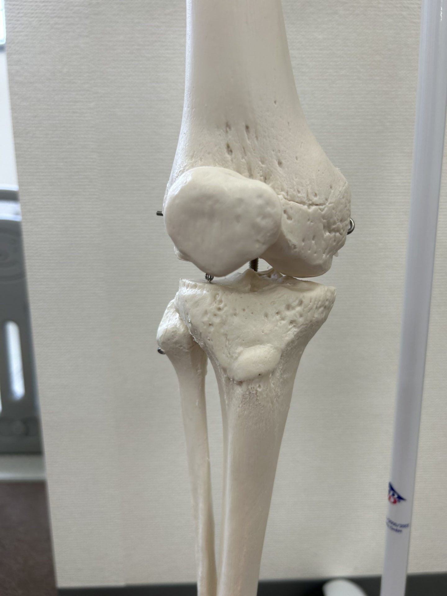 高崎市在住の60代男性の膝の痛み